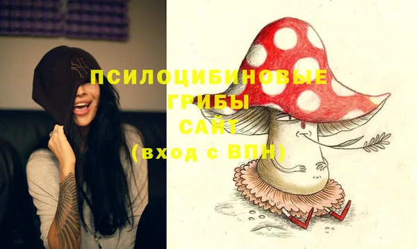индика Анива