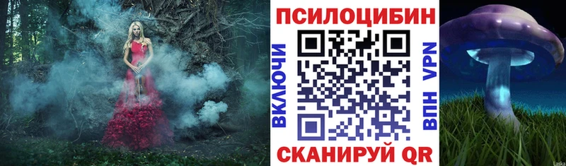 omg сайт Елабуга Галлюциногенные грибы GOLDEN TEACHER